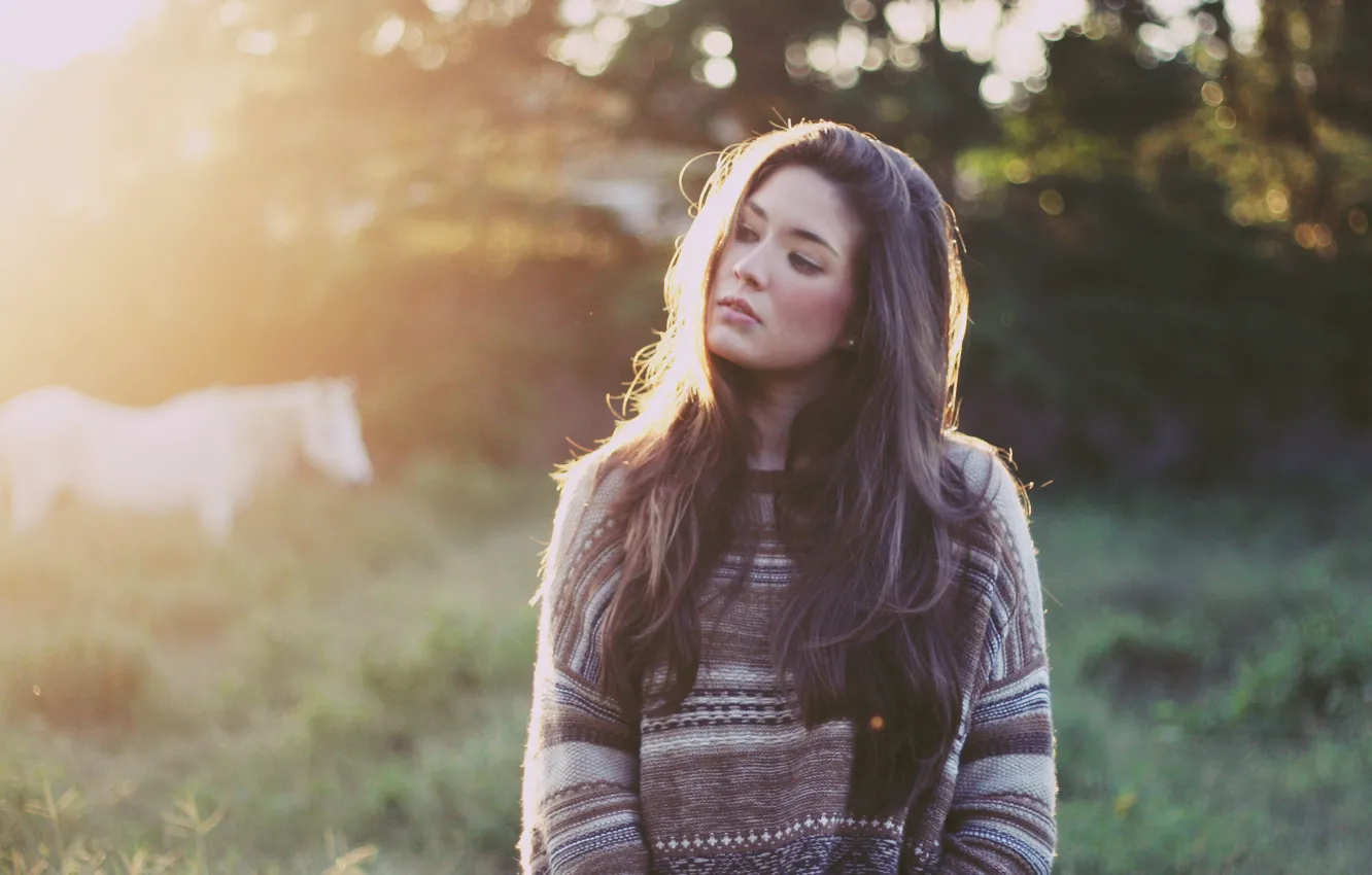 Photo wallpaper forest, grass, girl, brunette