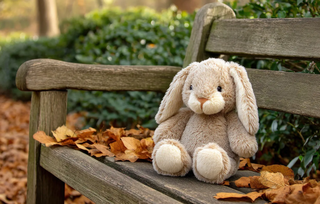 Photo wallpaper autumn, bench, Park, grey, foliage, toy, hare, garden