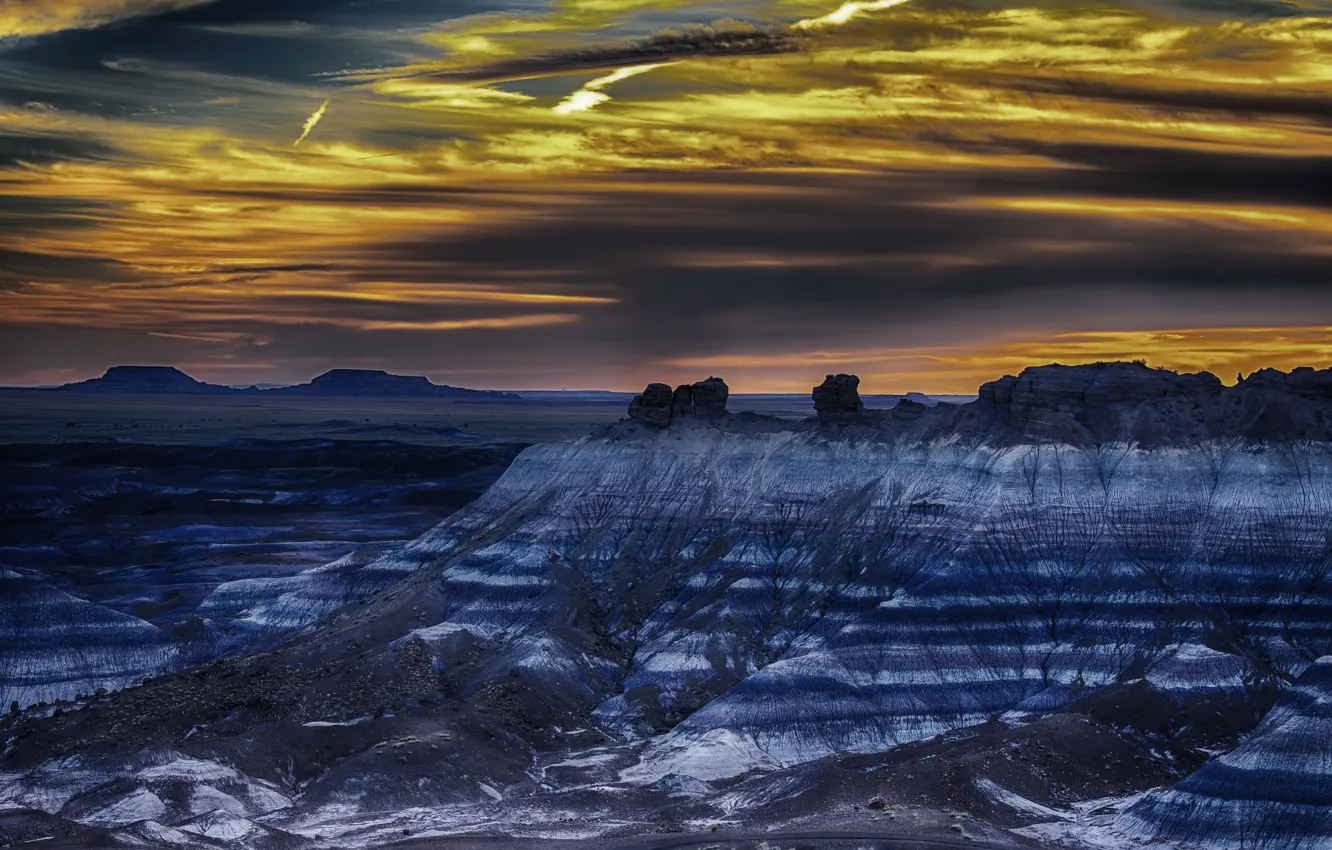 Photo wallpaper landscape, night, nature, Arizona, Petrified Forrest