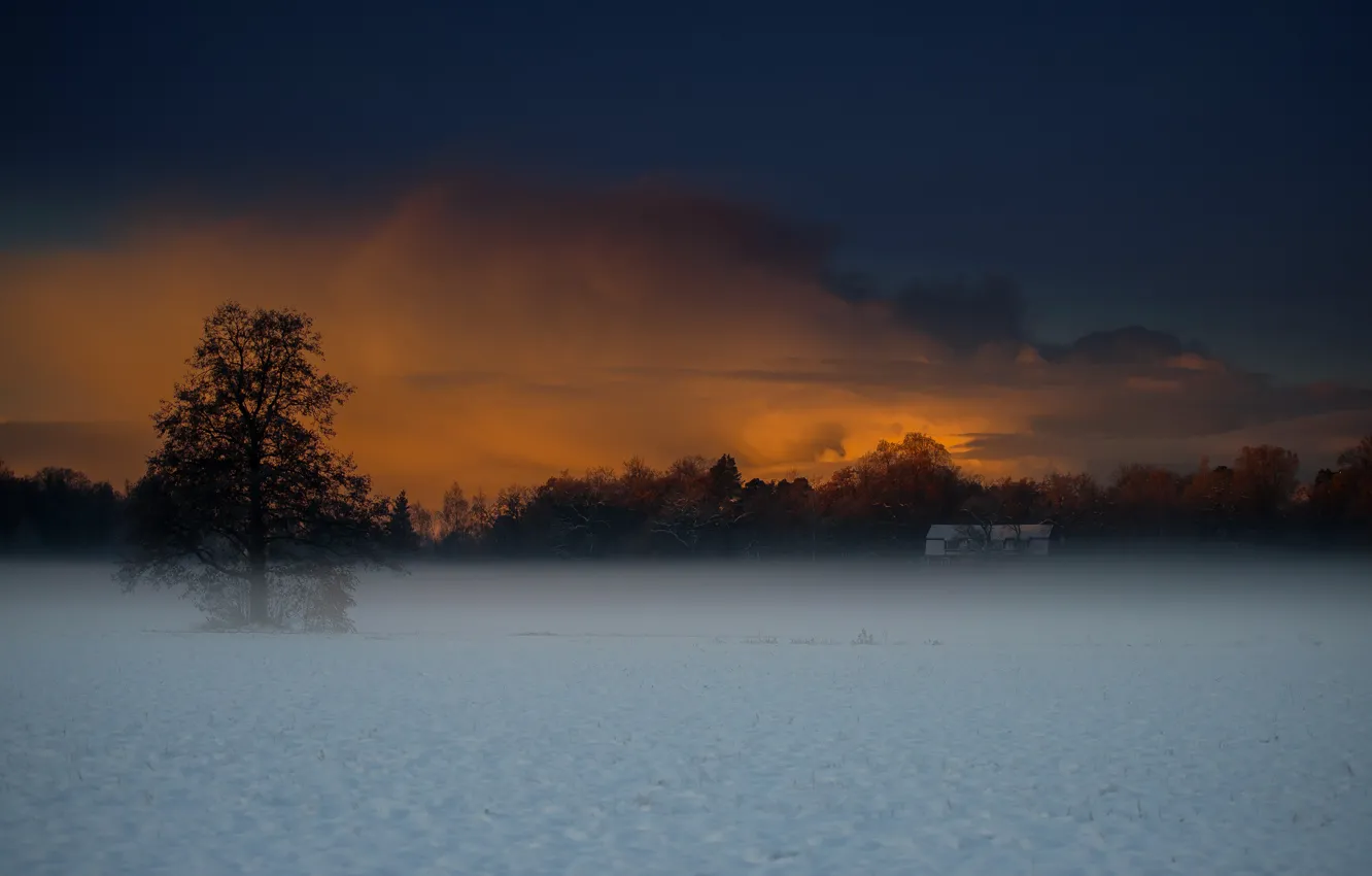 Photo wallpaper winter, field, snow, fog, house, tree