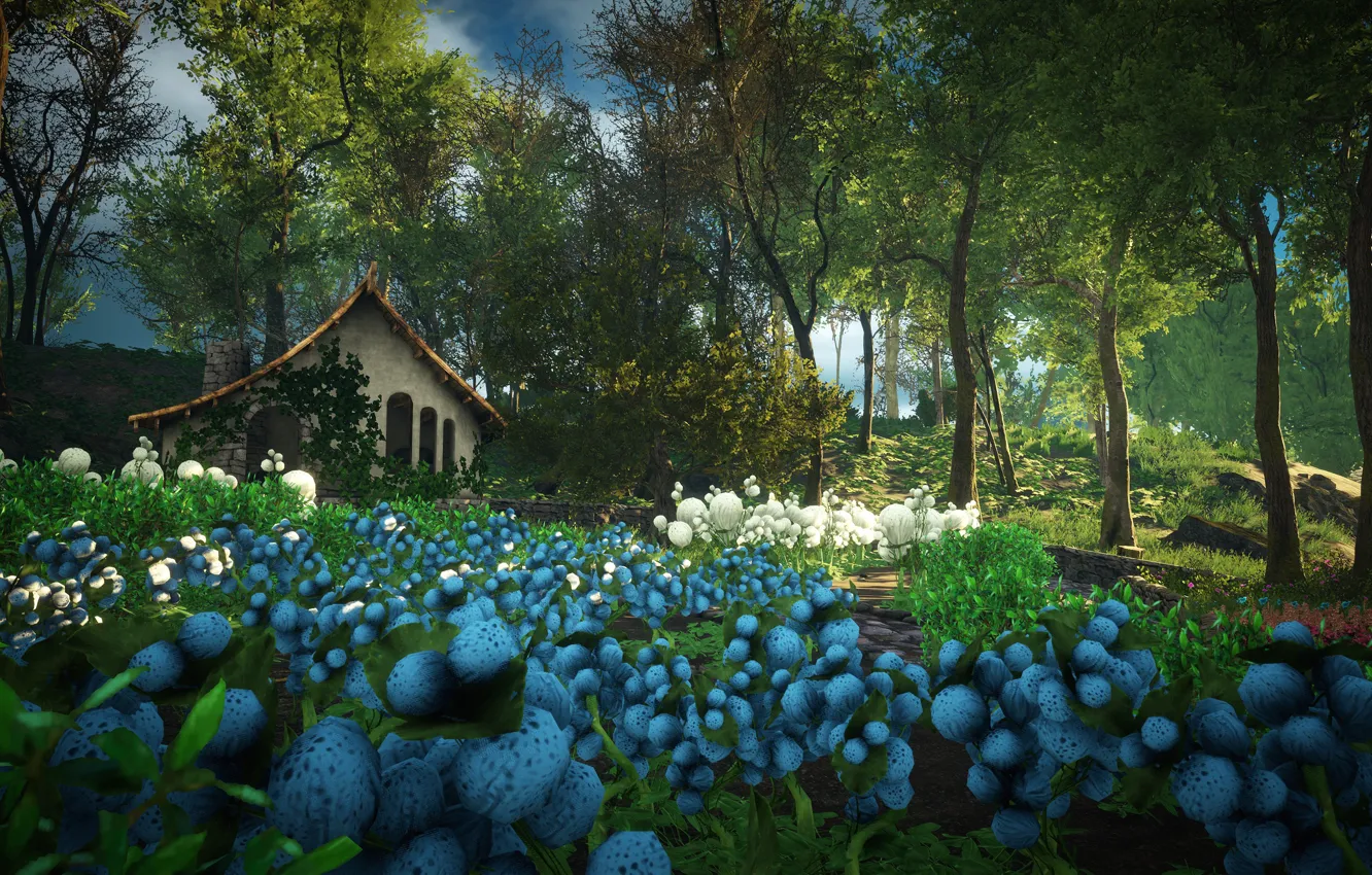 Photo wallpaper flowers, nature, home