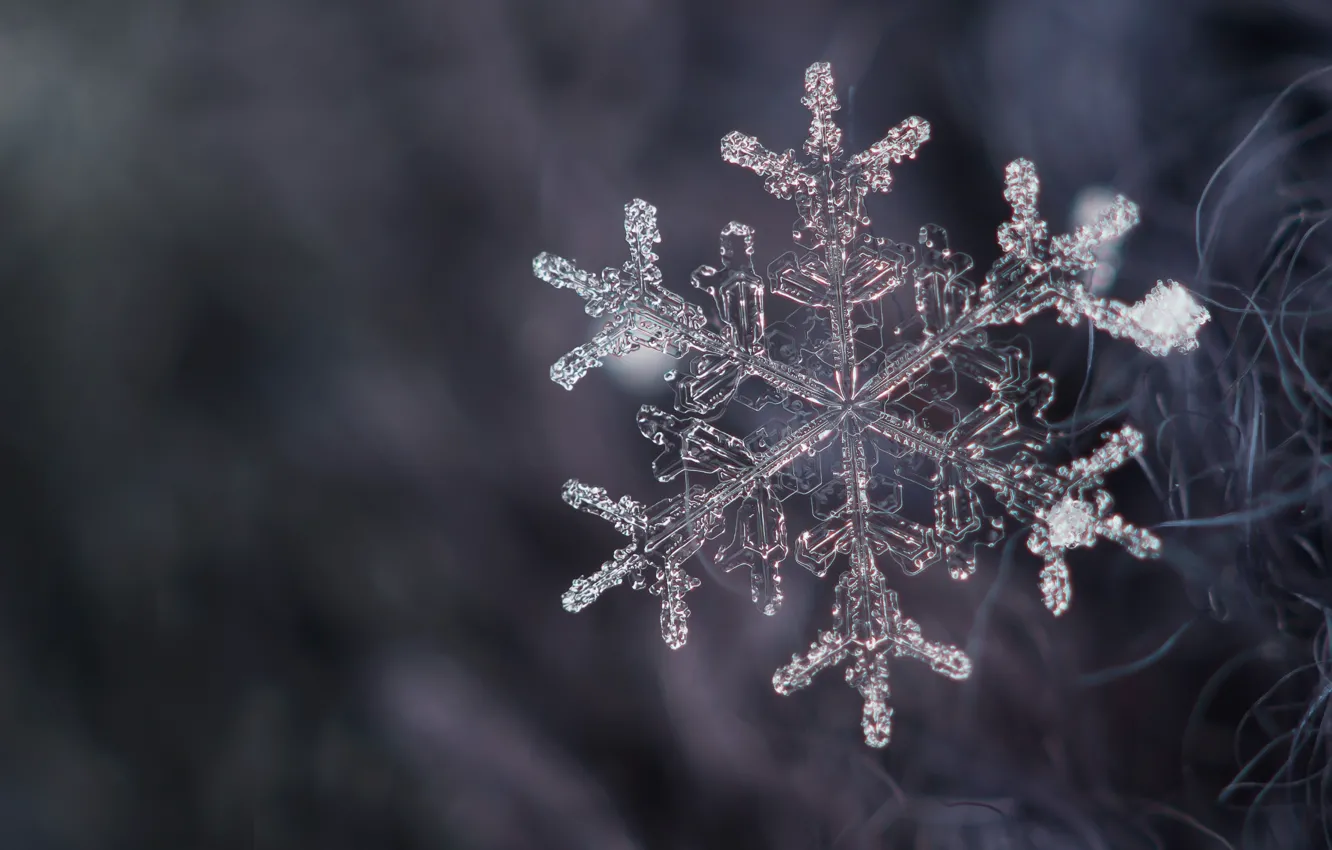 Photo wallpaper crystal, snow, snowflake