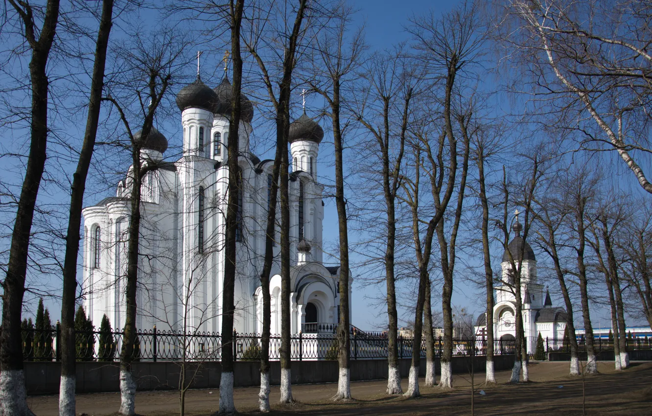 Photo wallpaper the sky, trees, the city, spring, Church