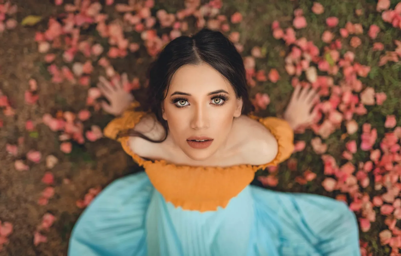Photo wallpaper look, model, petals, brunette