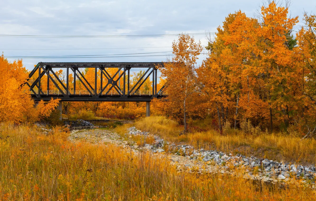 Photo wallpaper autumn, trees, bridge, Canada