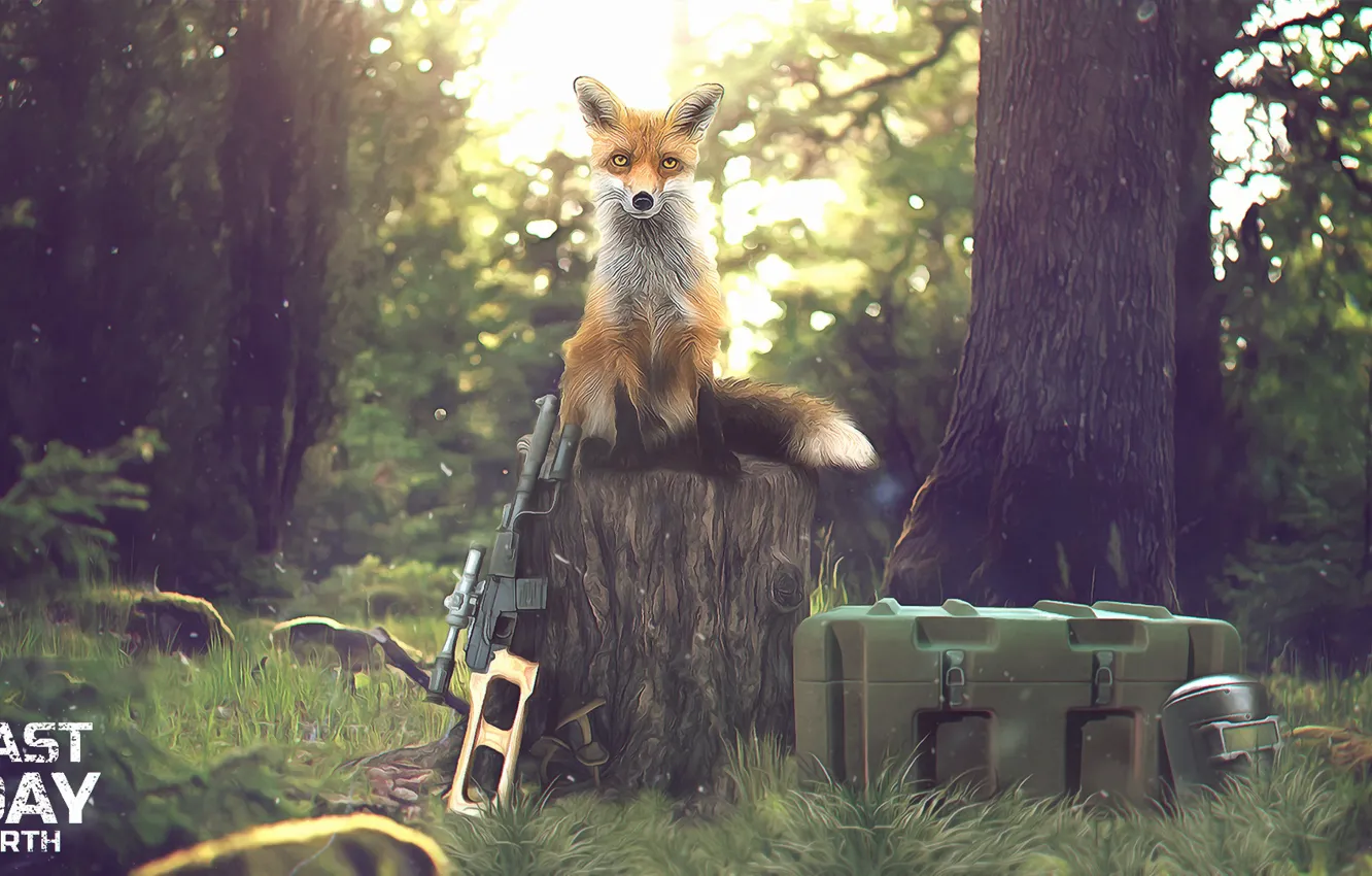 Photo wallpaper forest, weapons, mask, zombies, gun, box, forest, fox