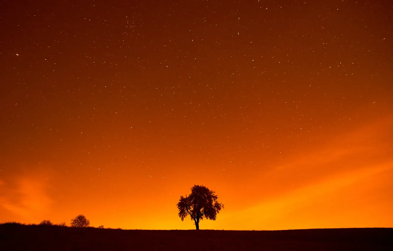 Photo wallpaper sunlight, Wolfgang Hasselmann, Sun Goes Down, field, landscape, night, stars, tree