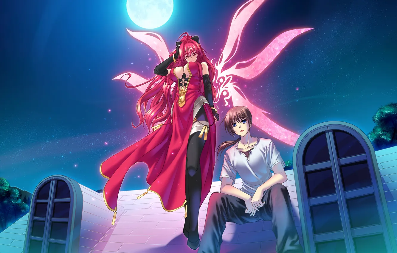 Photo wallpaper the sky, girl, stars, trees, night, the moon, home, wings