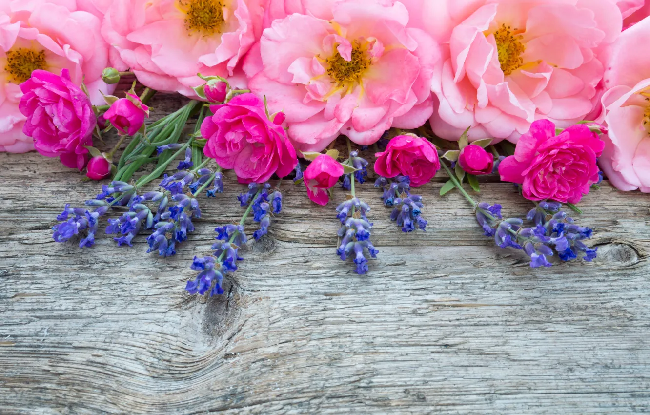 Photo wallpaper flowers, pink, buds, wood, pink, flowers, lavender, bud