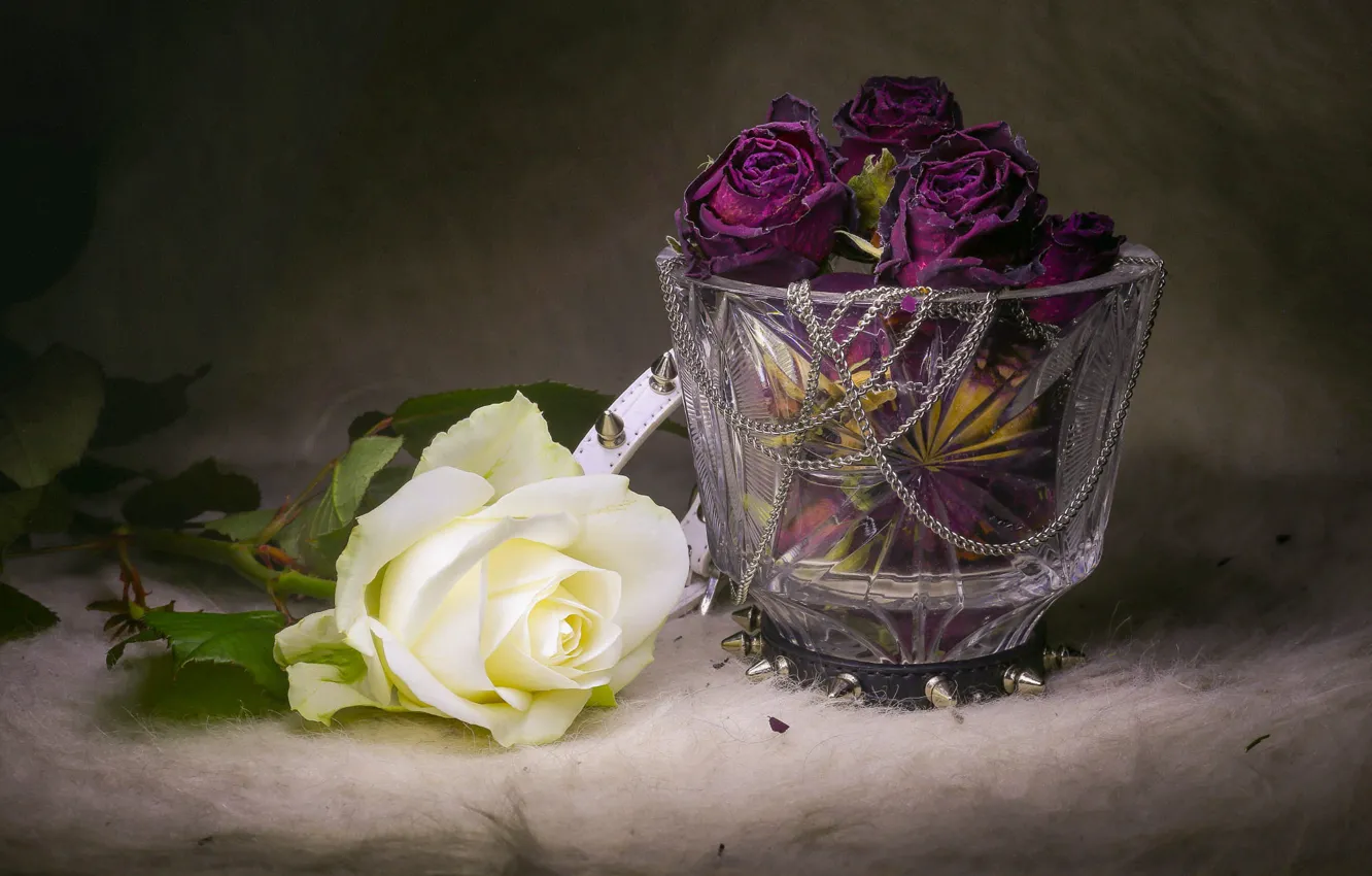 Photo wallpaper white, purple, flowers, the dark background, roses, bouquet, fur, chain