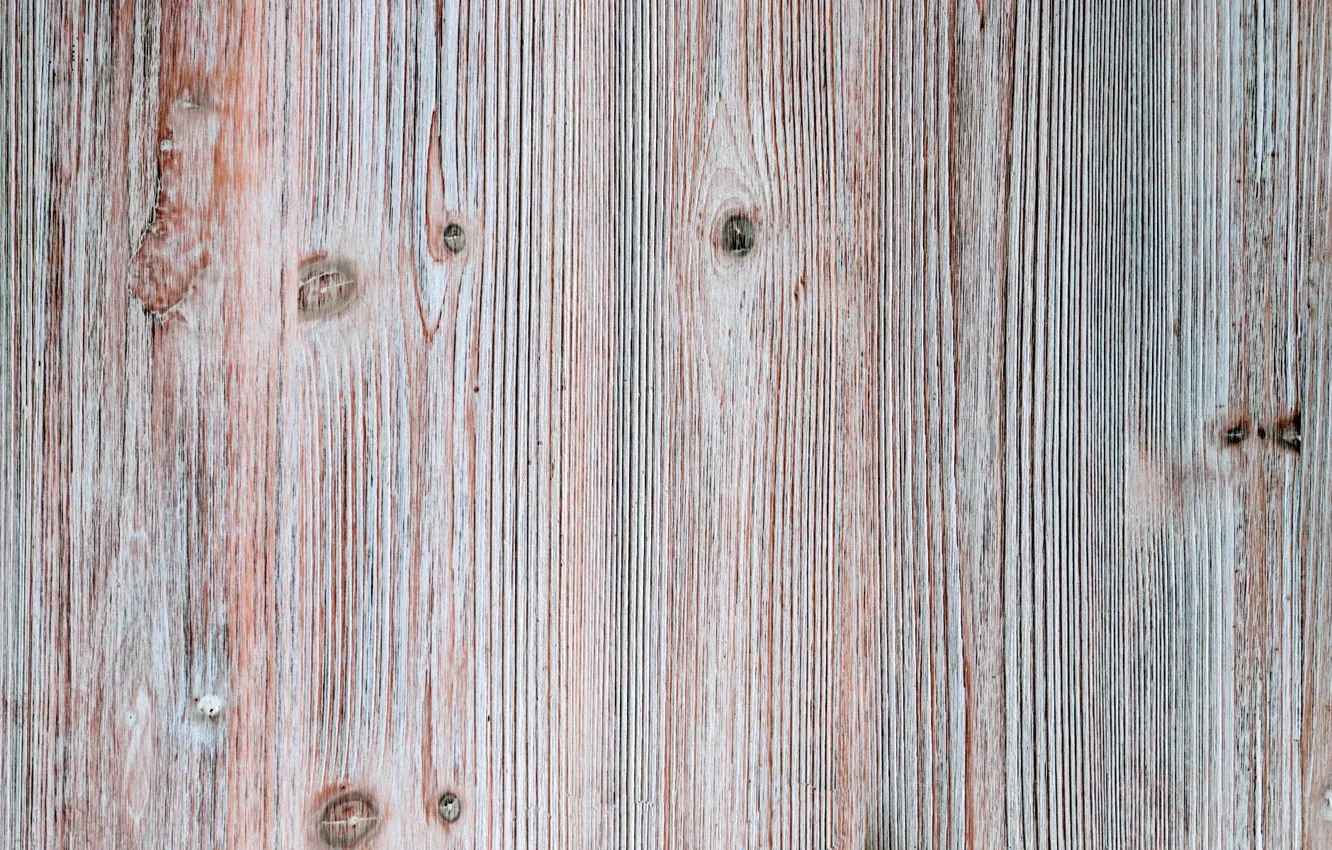 Photo wallpaper laminate, finish, under the tree