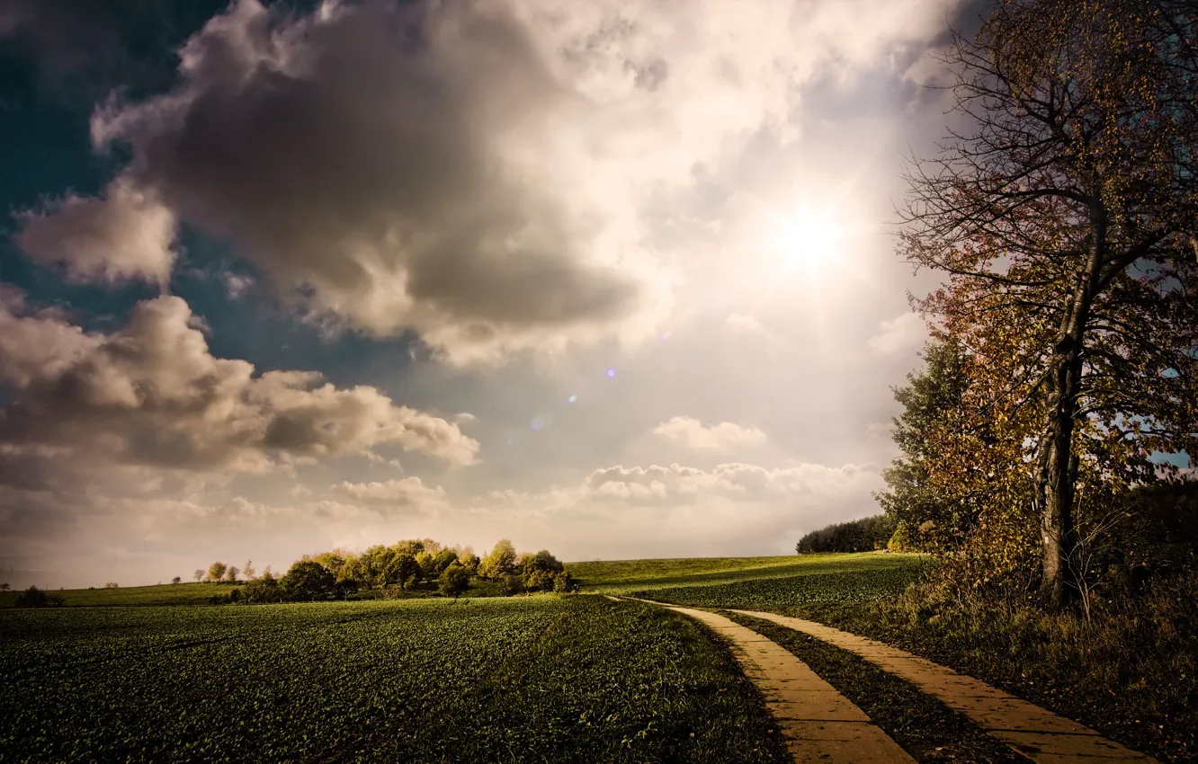 Photo wallpaper road, greens, the sky, the sun, clouds, trees, nature