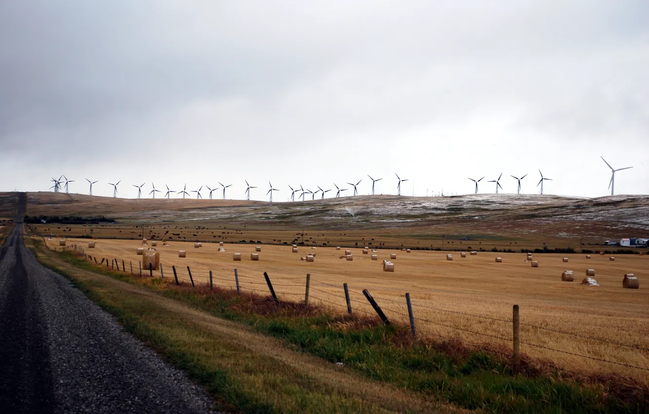 Photo wallpaper Canada, road, nature, fence, Stowe, Wind Turbines