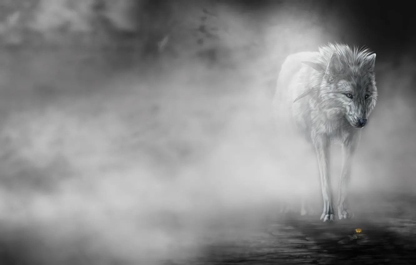 Photo wallpaper flowers, fog, wolf, art, wolfroad, the fog