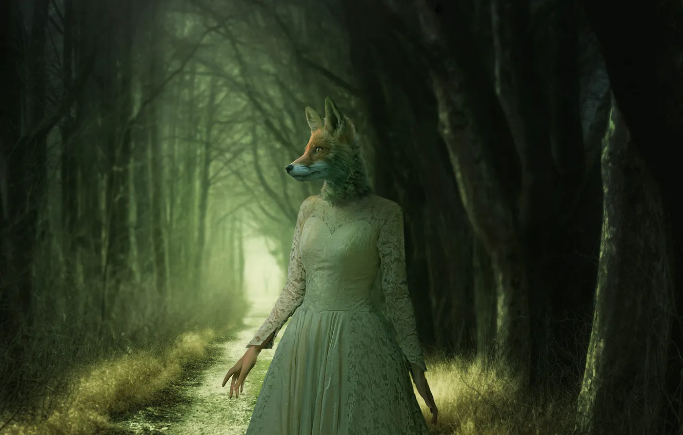 Photo wallpaper forest, girl, fog, Fox, werewolf, Tracy Lundgren