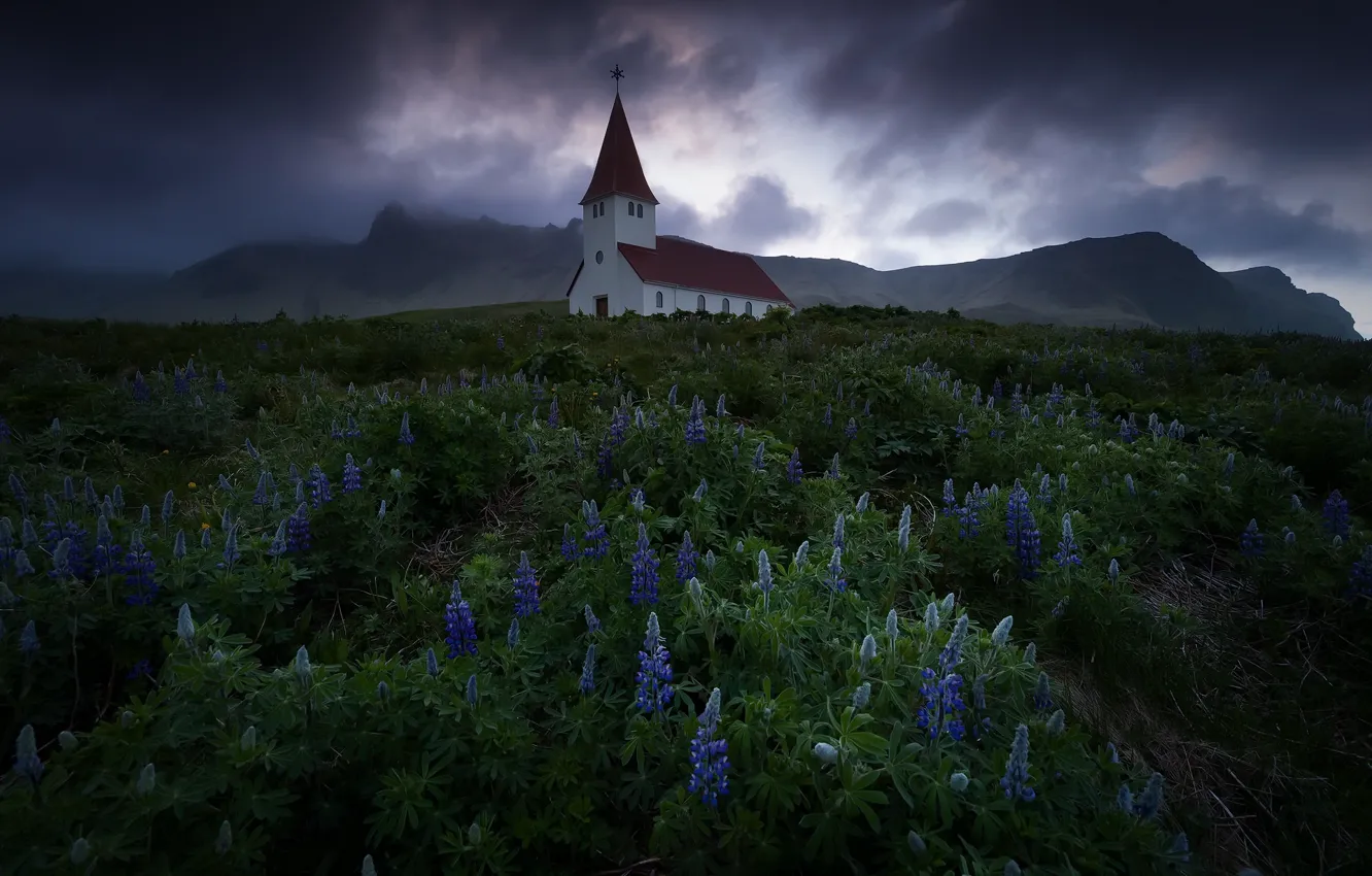 Photo wallpaper flowers, nature, temple