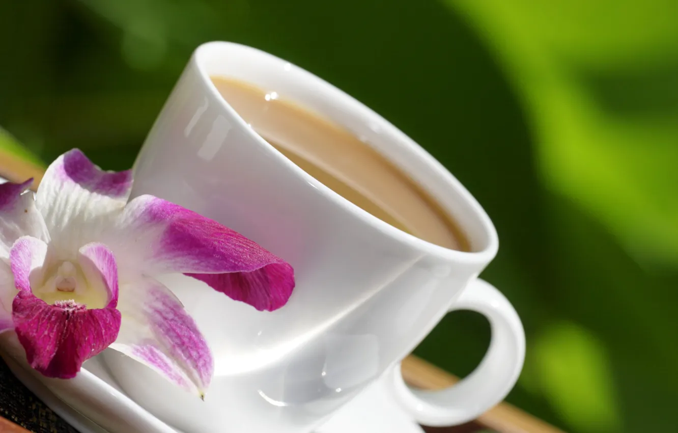 Photo wallpaper flowers, food, Cup, Orchid