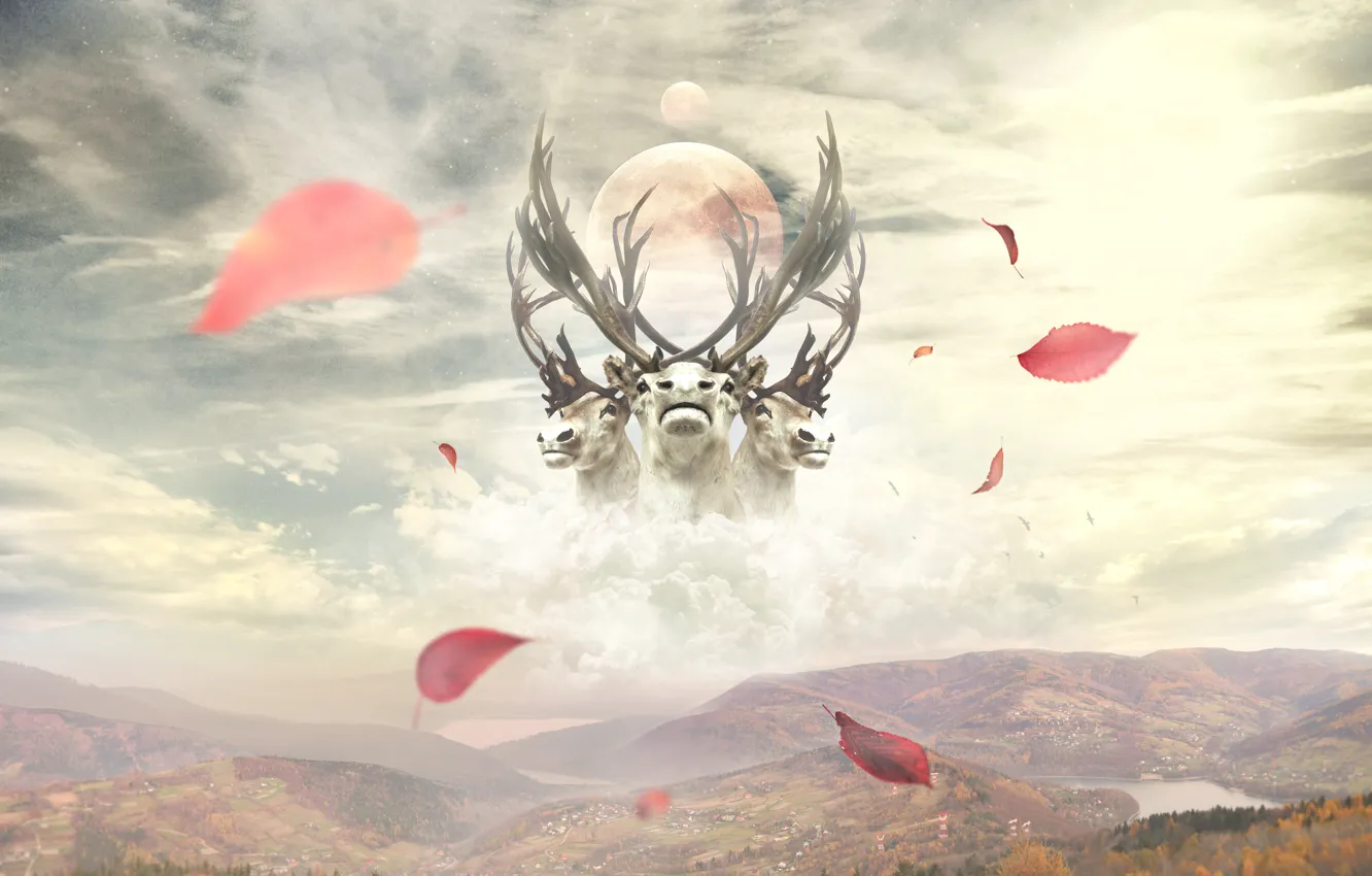 Photo wallpaper leaves, clouds, mountains, collage, deer, Desktop, wallpaper, photo manipulation