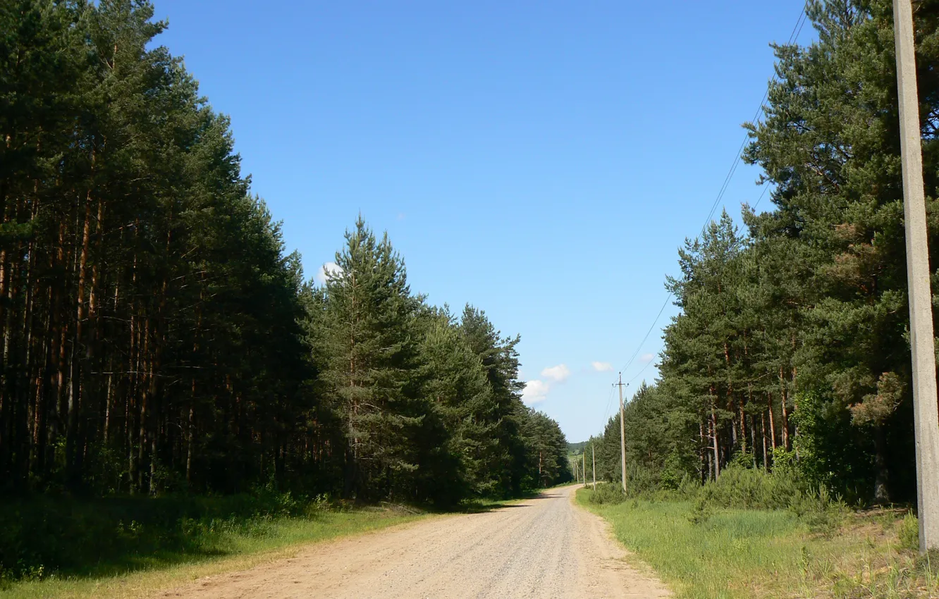 Photo wallpaper road, forest, Nature, homeland, Belarus, my photo