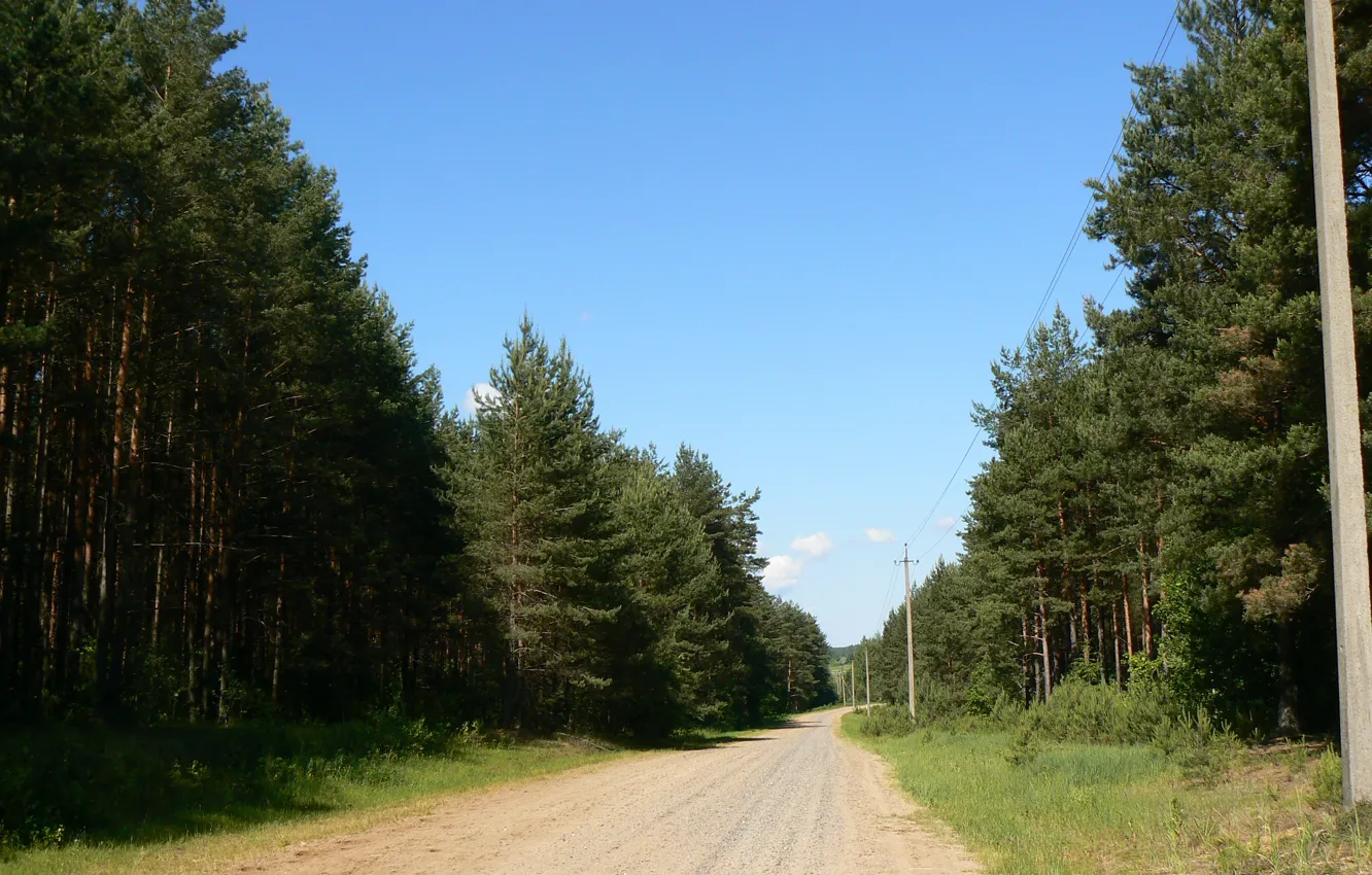 Photo wallpaper road, forest, nature, homeland, Belarus, my photo