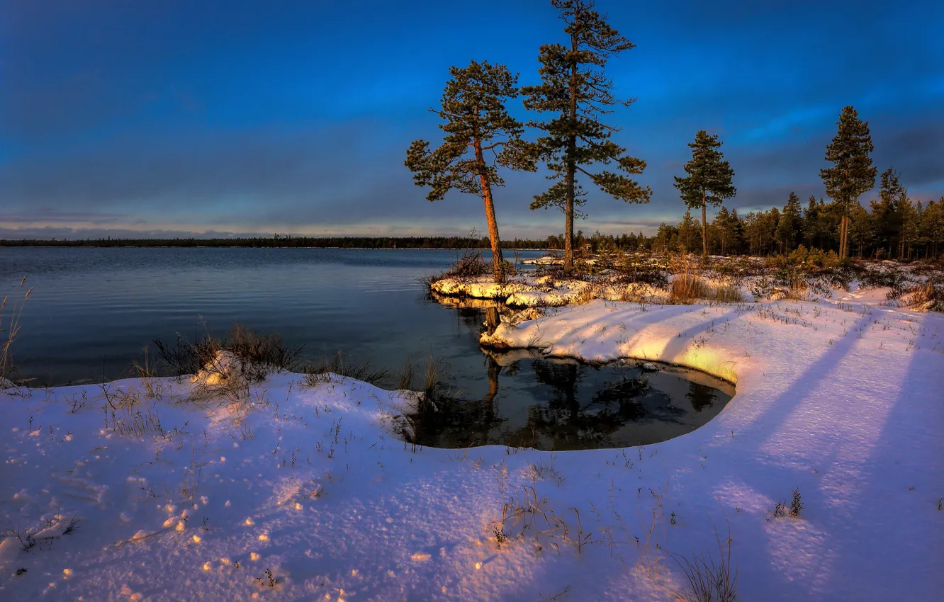 Photo wallpaper winter, forest, snow, trees, landscape, sunset, nature, river