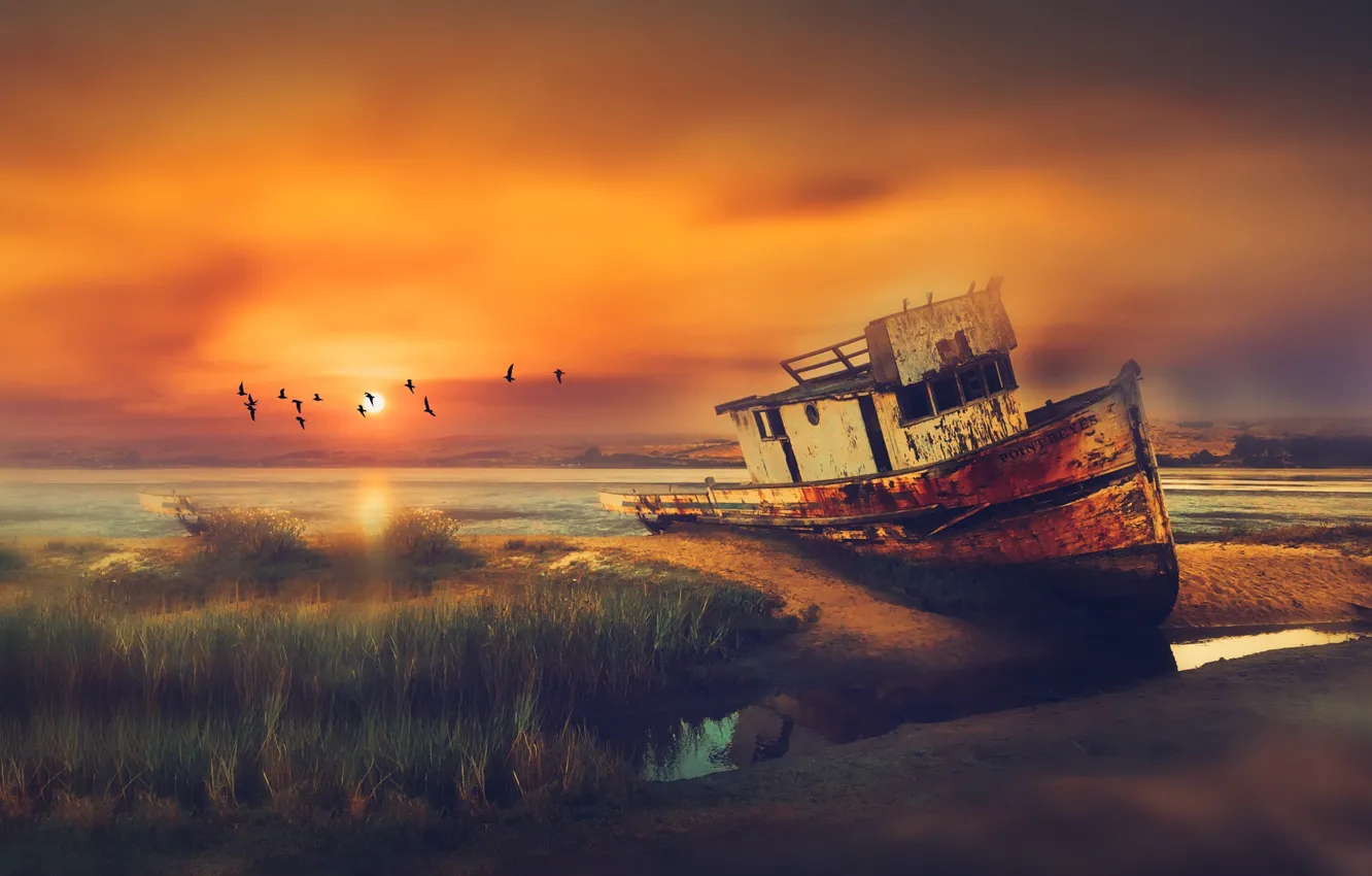 Photo wallpaper the sky, landscape, sunset, birds, rendering, shore, boat, art