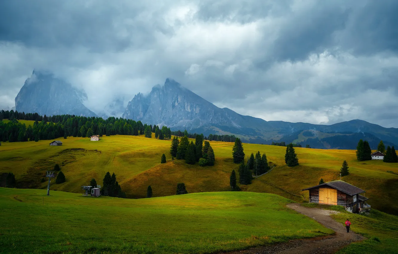 Photo wallpaper field, mountains, Alps, house