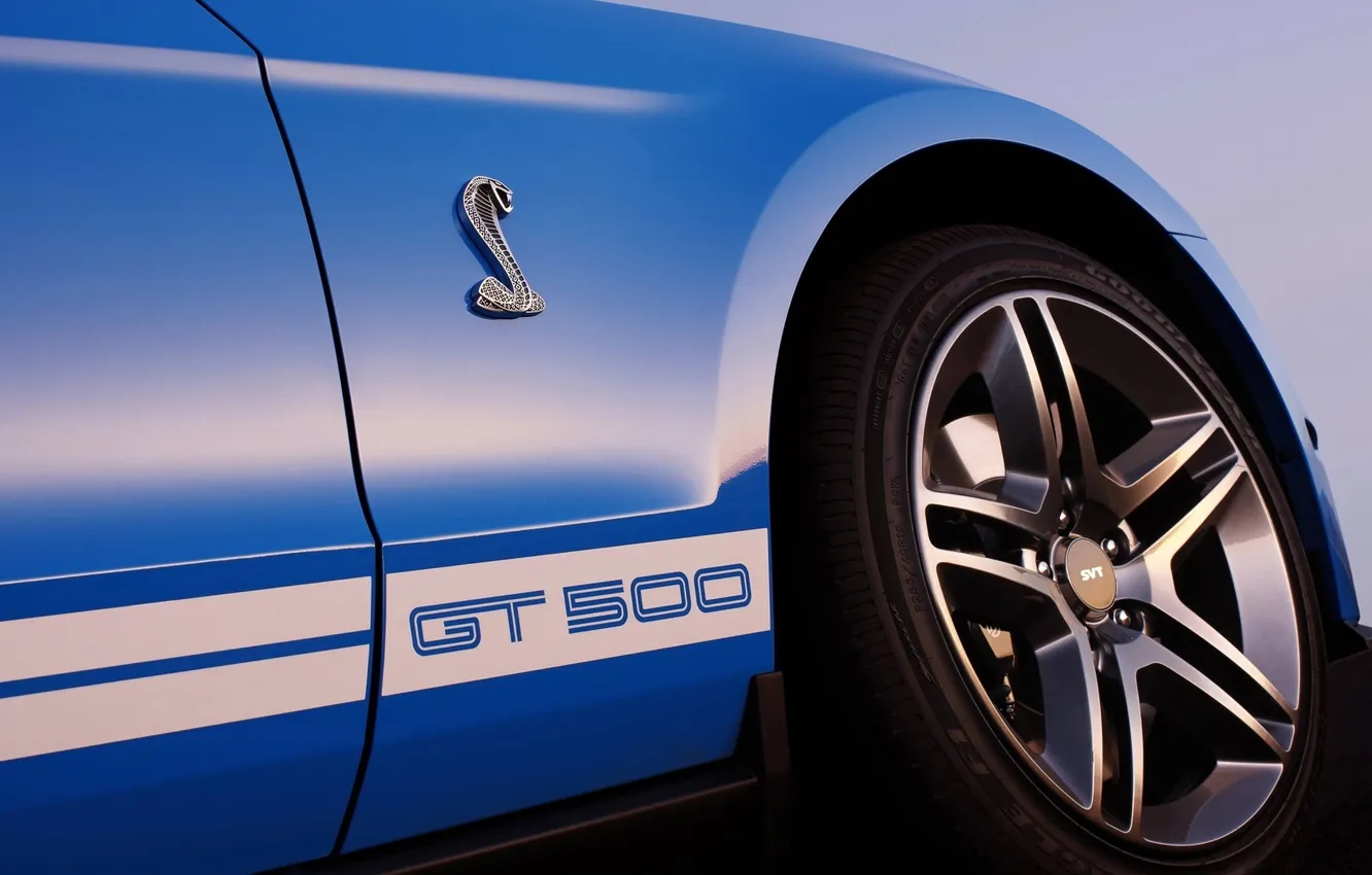 Photo wallpaper blue, the inscription, Mustang, Ford, Shelby, GT500, Mustang, emblem