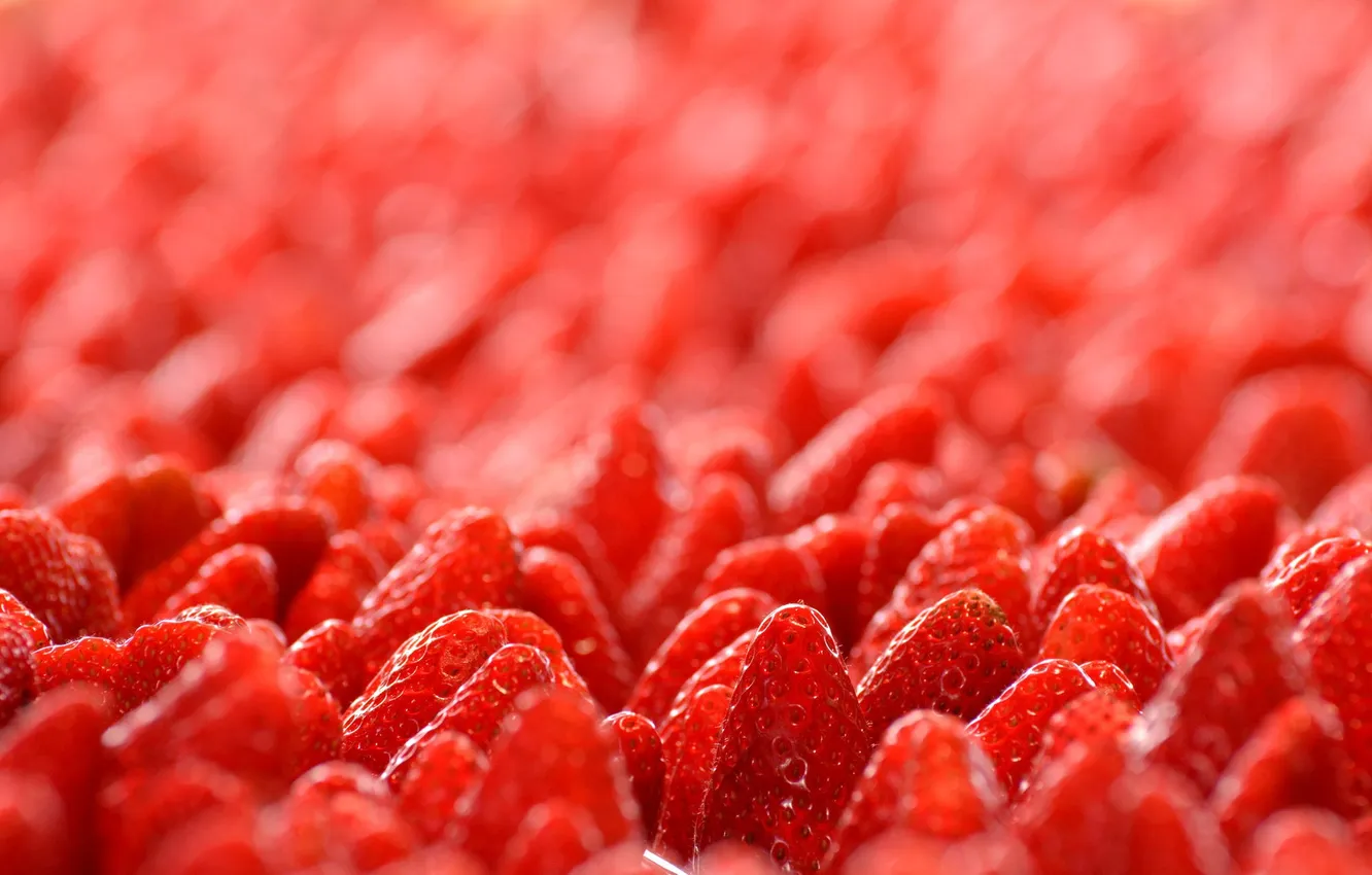 Photo wallpaper macro, berries, strawberry