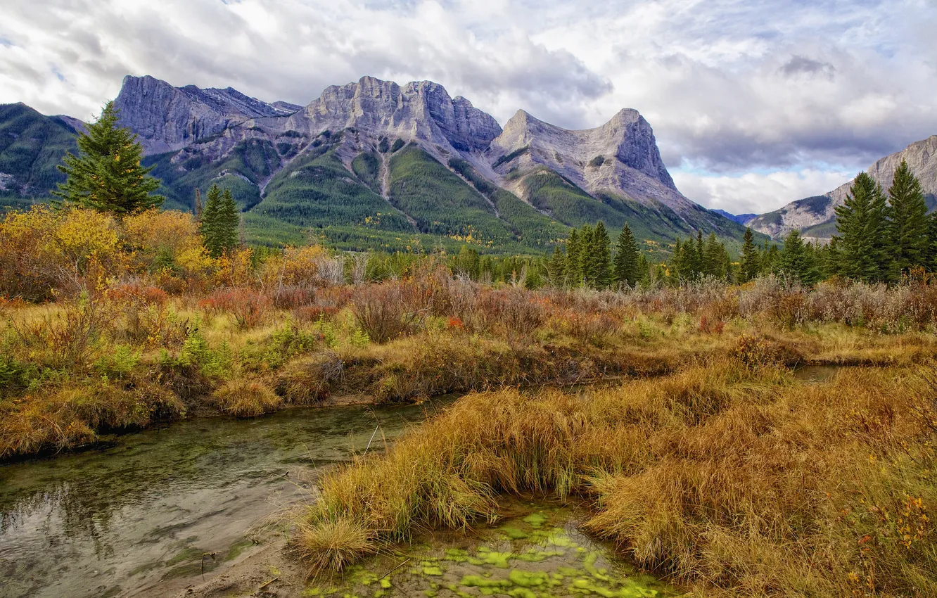 Photo wallpaper autumn, the sky, trees, landscape, mountains, river, stream, the bushes