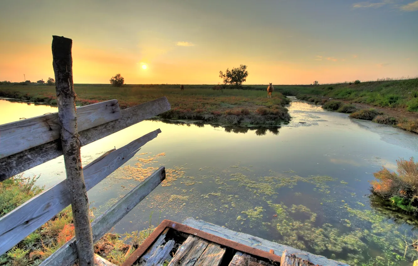 Photo wallpaper the sky, grass, sunset, horse, the fence, meadow, channel