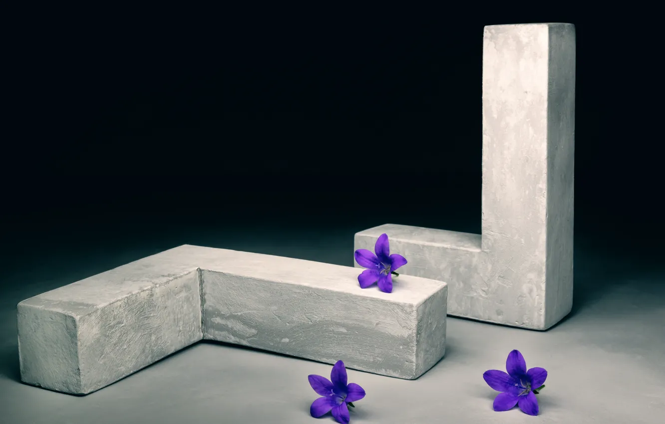 Photo wallpaper flowers, figure, Campanulas