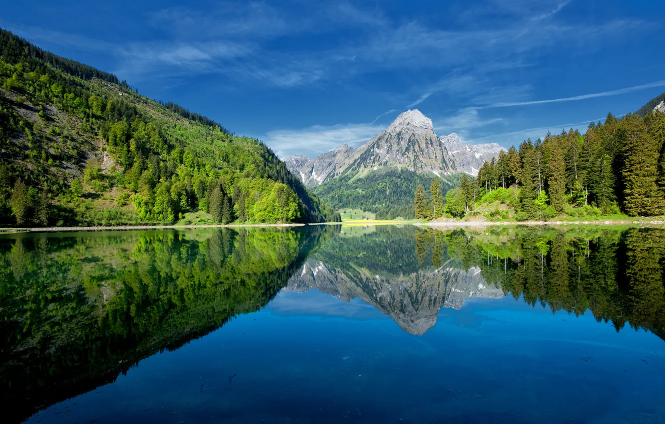 Photo wallpaper forest, the sky, trees, mountains, lake, reflection, slope