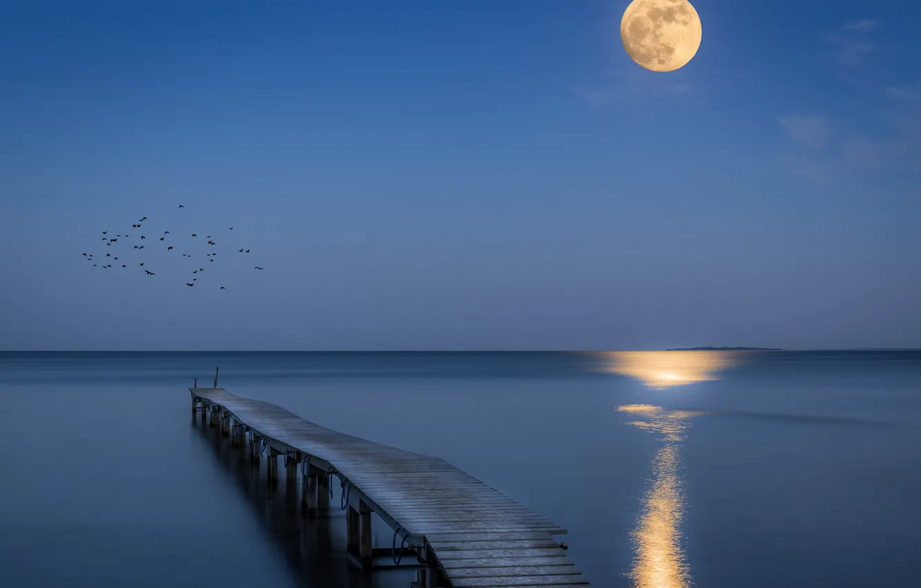 Photo wallpaper sea, night, bridge, the moon