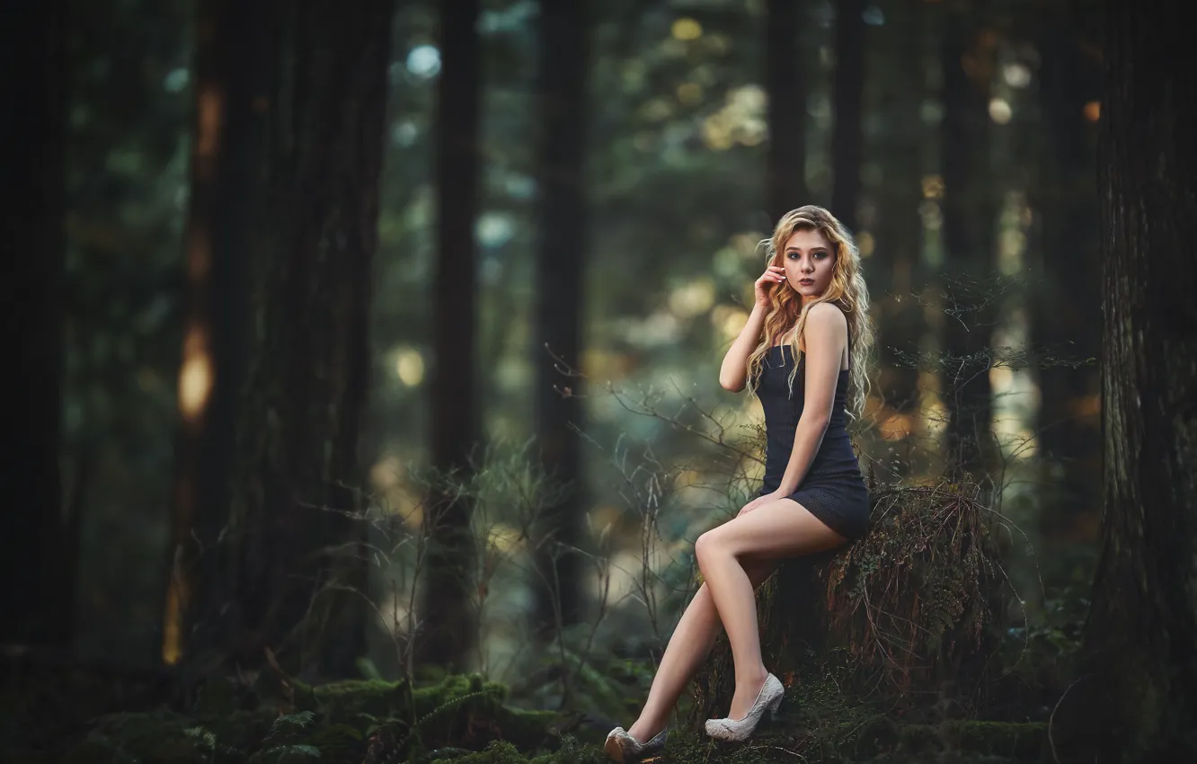 Photo wallpaper forest, girl, trees, nature, dress, Raymond Wong