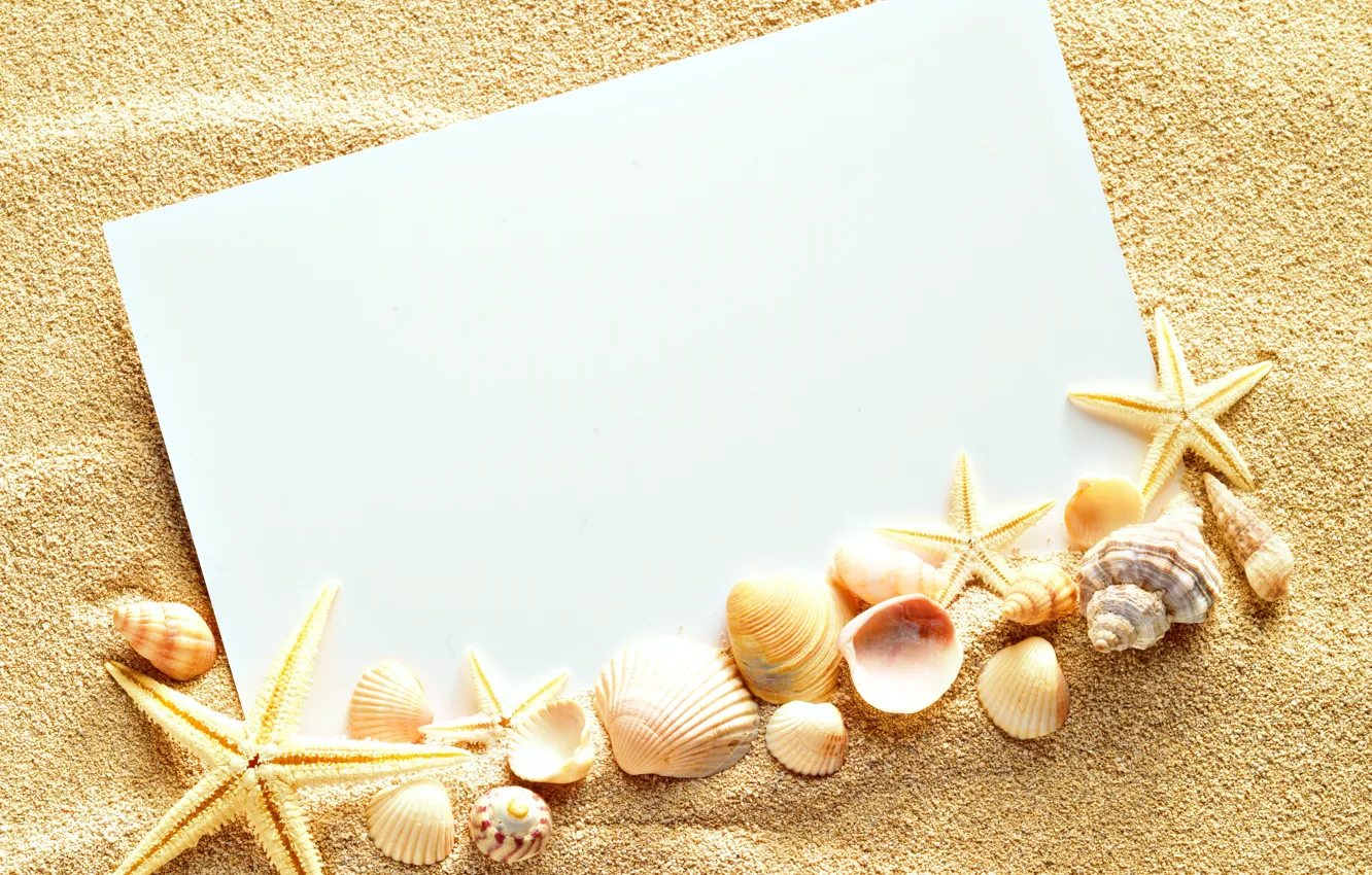 Photo wallpaper sand, shell, texture, sand, paper, seashells, starfishes
