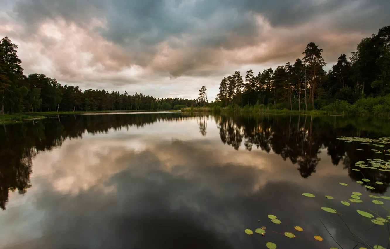 Photo wallpaper forest, nature, lake, twilight, the surface of the water