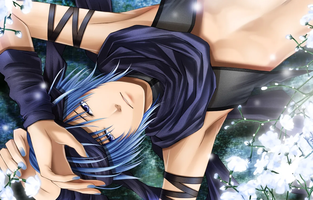 Photo wallpaper look, flowers, guy, vocaloid, Vocaloid, kaito