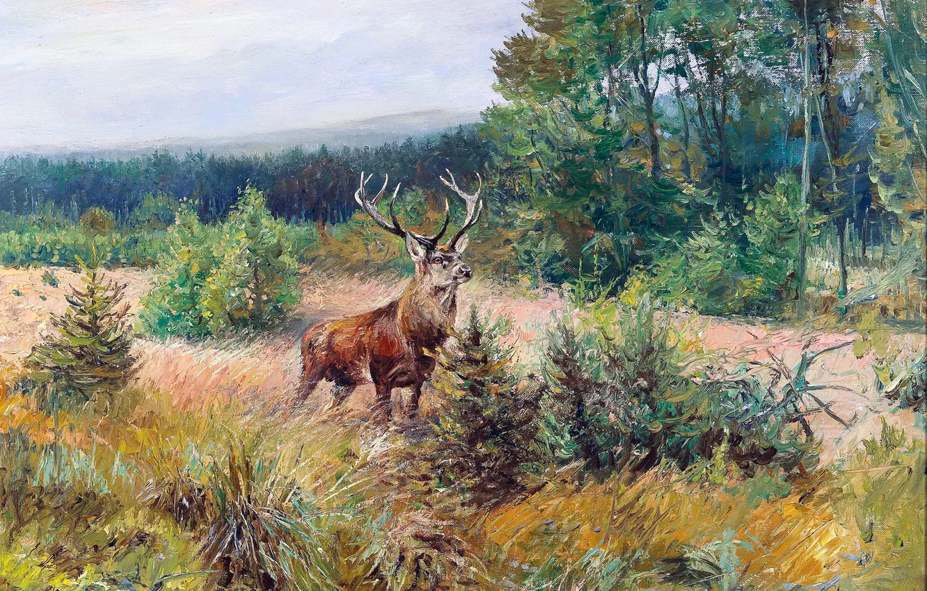 Photo wallpaper Trees, Picture, Deer, Horns, German artist, Wilhelm Lorenz, Wilhelm Lorenz, Trophy deer