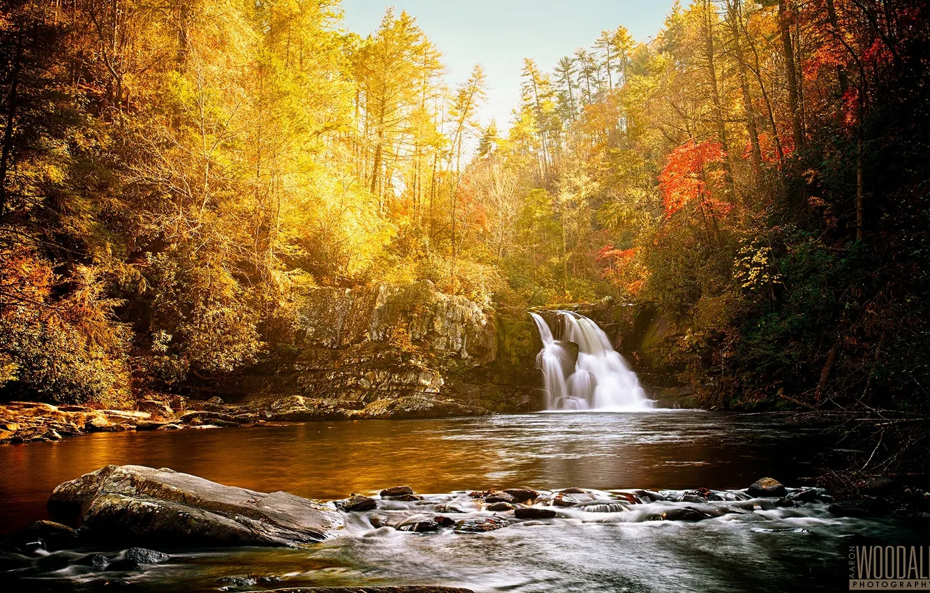 Photo wallpaper forest, the sun, river, waterfall, beauty, photographer, peace, Aaron Woodall