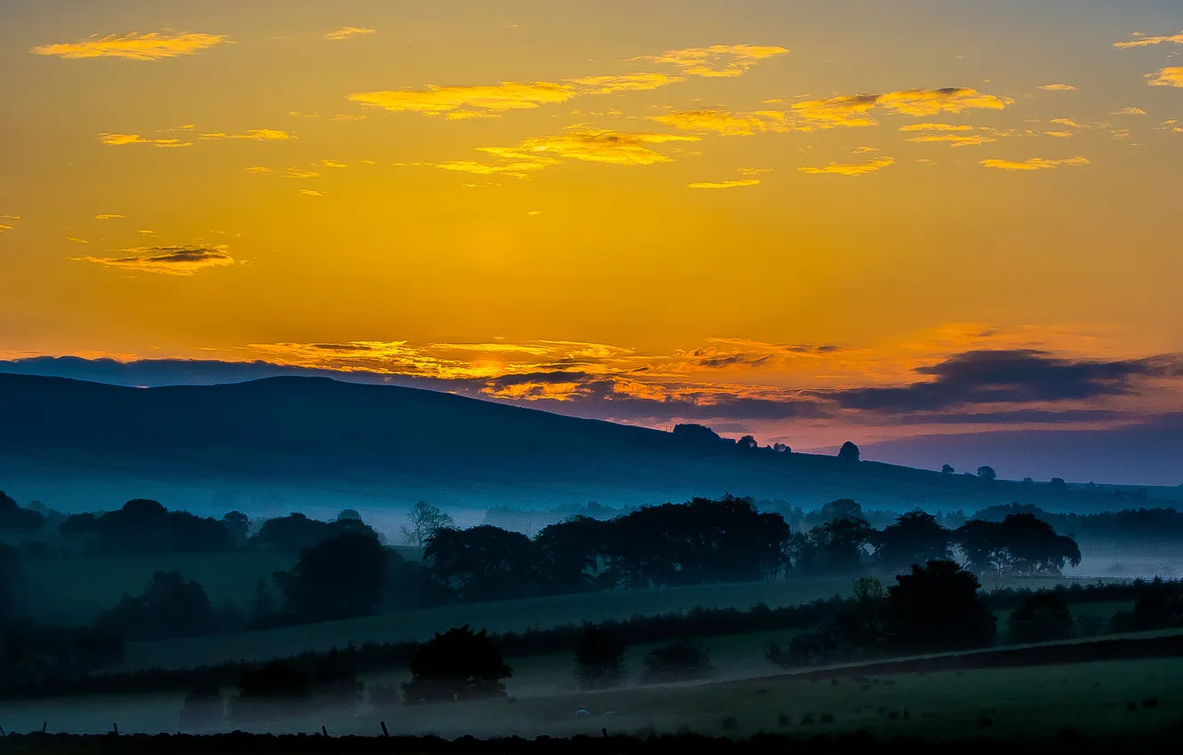 Photo wallpaper field, the sky, clouds, trees, sunset, mountains, fog, glow