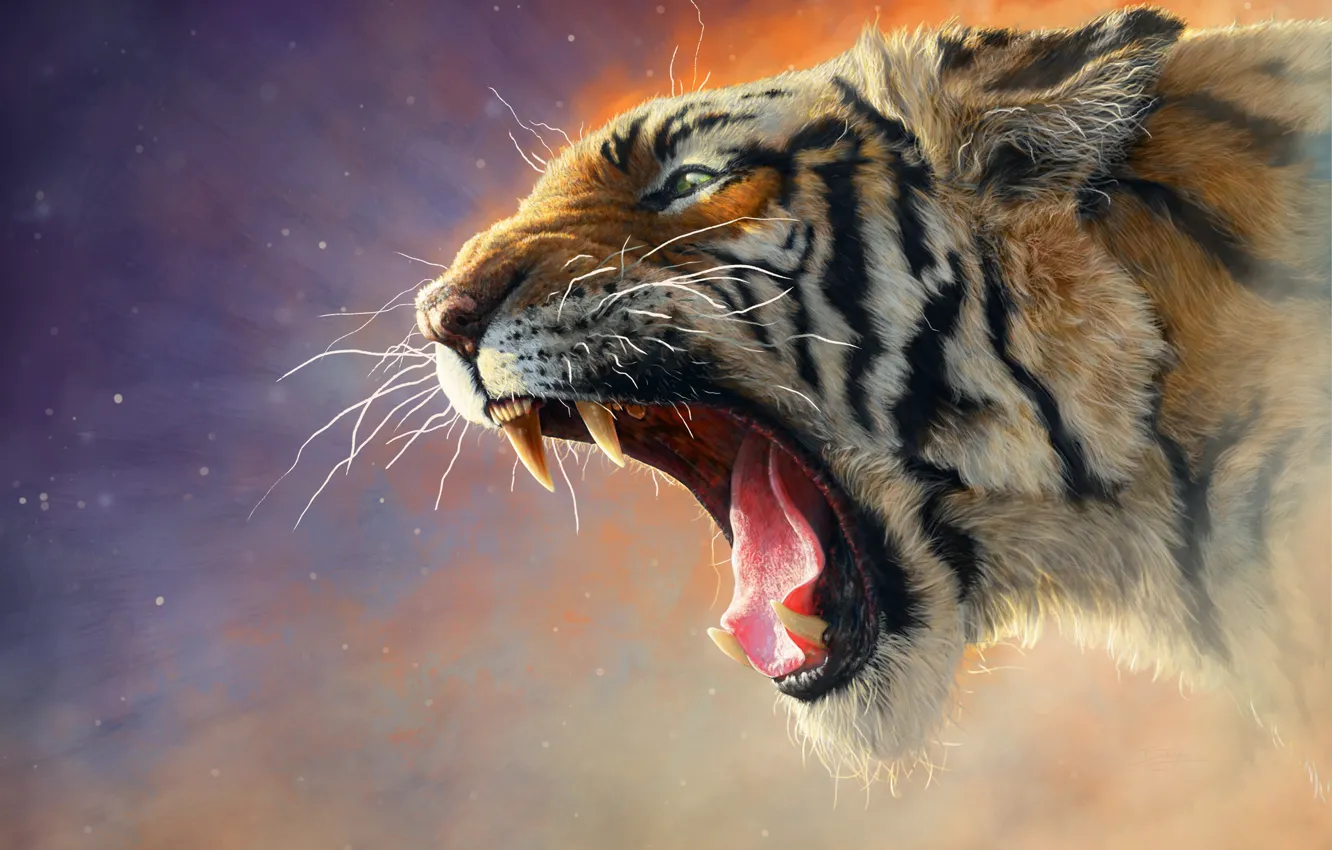 Photo wallpaper cat, cat, face, tiger, animal, predator, mouth, fangs