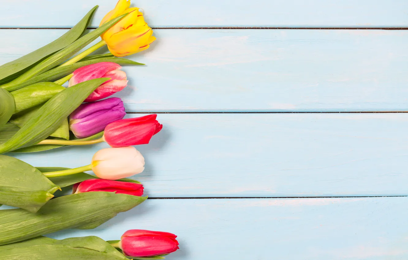 Photo wallpaper flowers, colorful, tulips, wood, flowers, tulips, spring