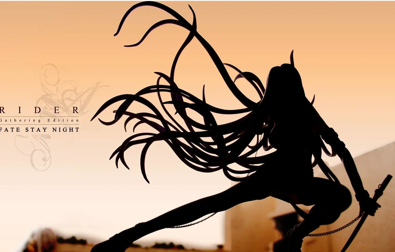 Photo wallpaper sword, silhouette, chain, Fate Stay Night, long hair, Rider, Fate stay night