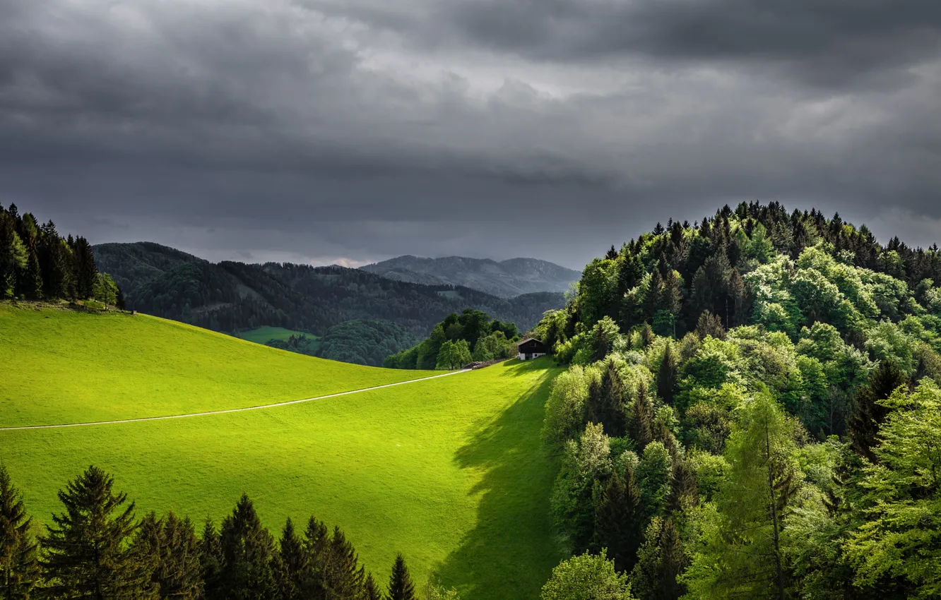 Photo wallpaper forest, the sky, mountains, clouds, nature, field, spring, grey