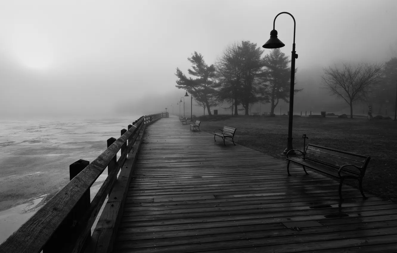 Photo wallpaper bench, fog, river, shop, black and white, USA, USA, promenade