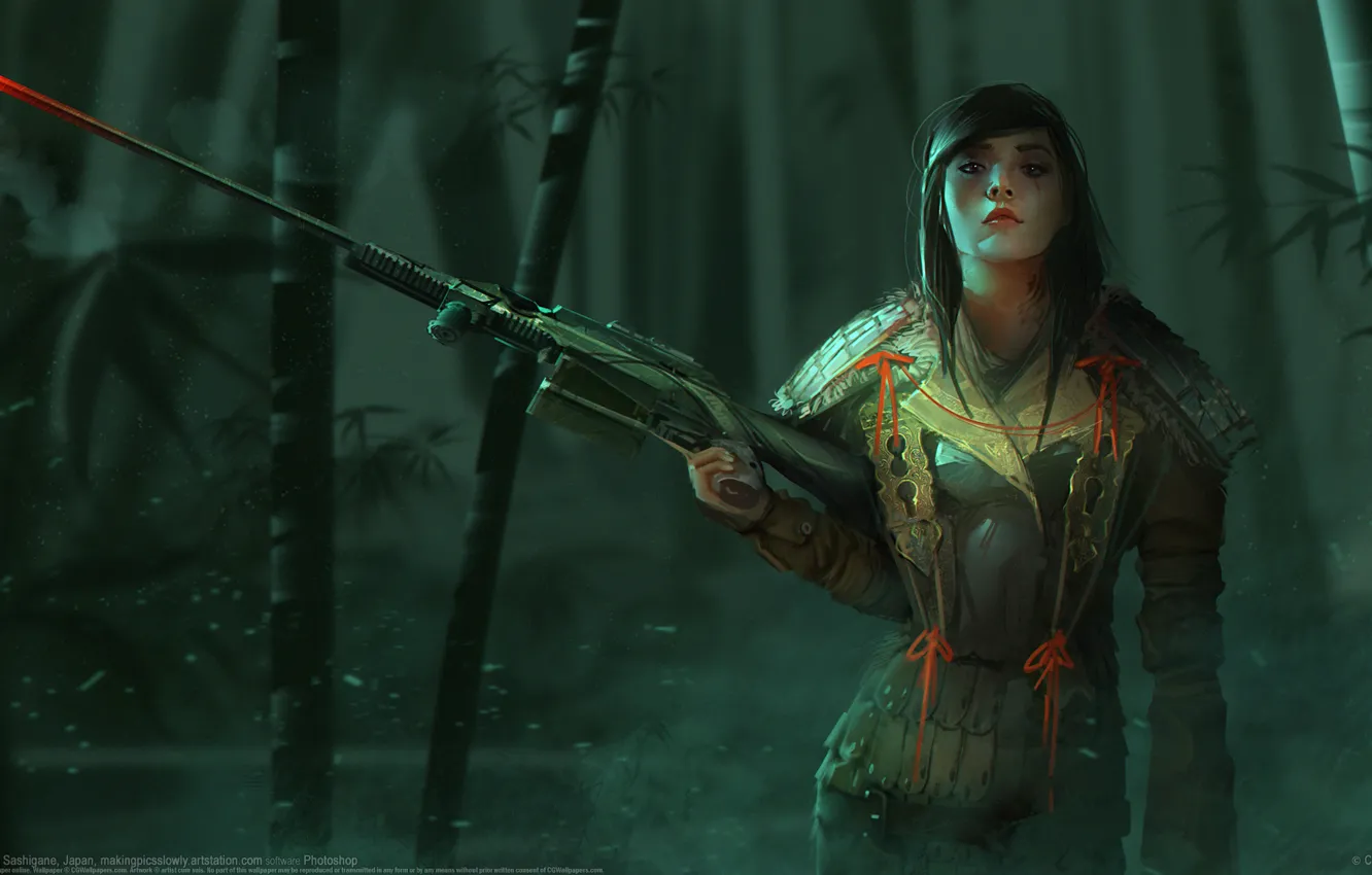 Photo wallpaper girl, weapons, sniper, Richard Sashigane