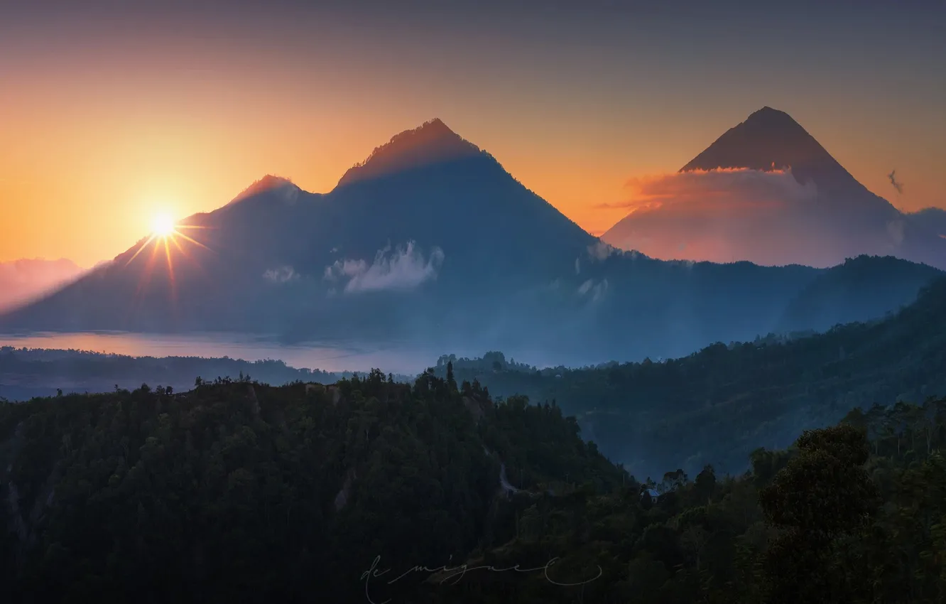 Photo wallpaper forest, the sun, light, mountains