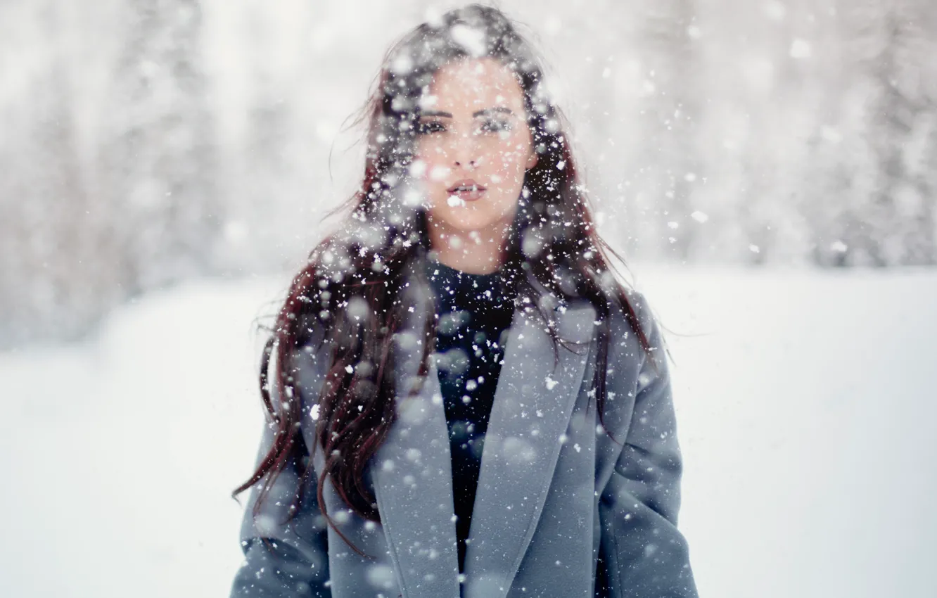 Photo wallpaper girl, winter, snow, women, portrait, Wonderland, Tony Ross
