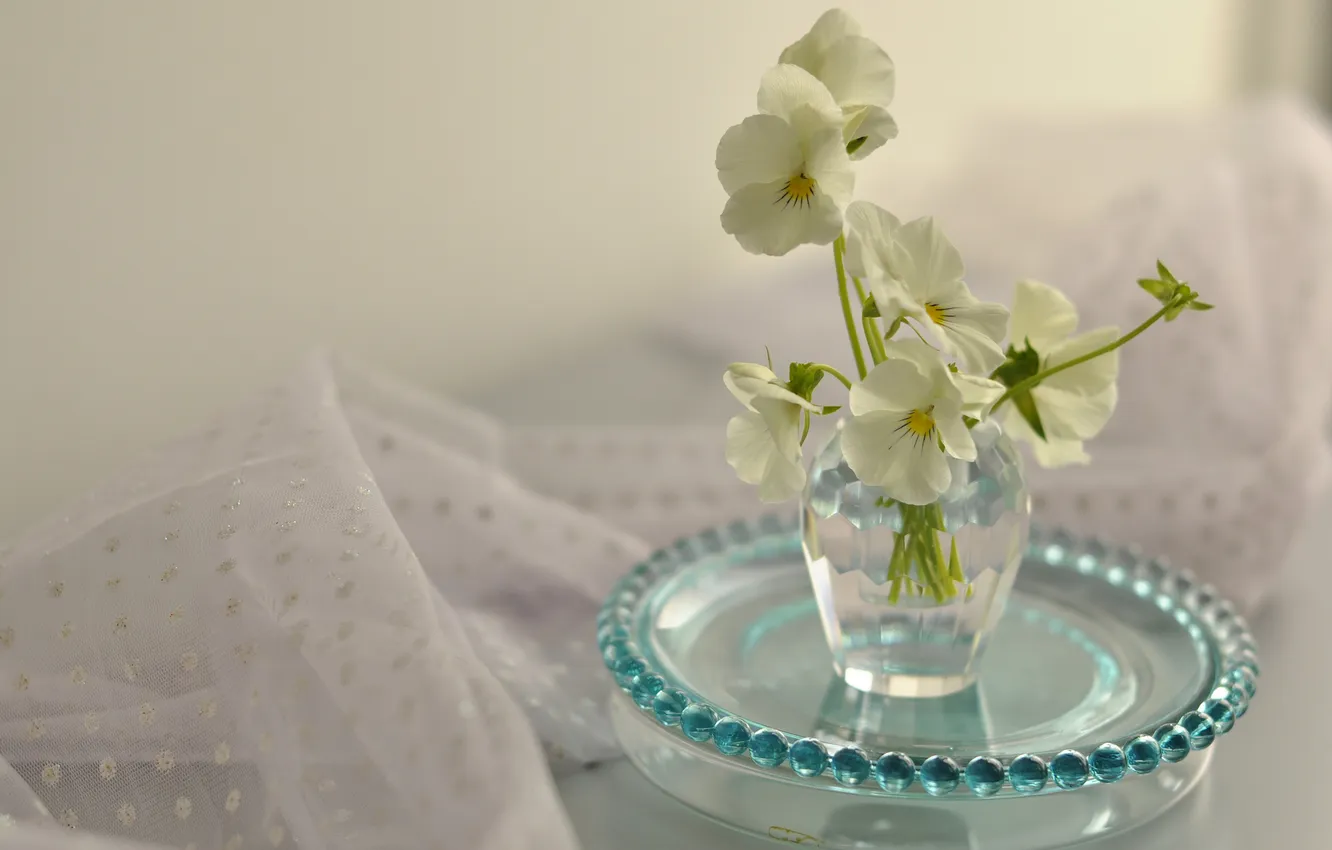 Photo wallpaper still life, Pansy, vase